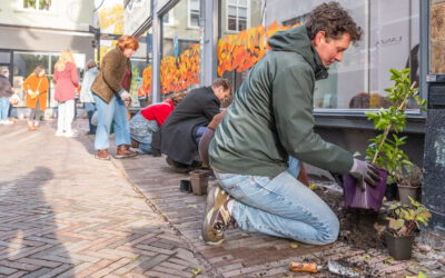 Eerste vergroening van Deventer binnenstad een feit
